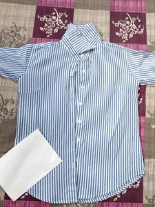 Classic Old Money Blue Striped Shirt