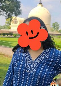 Elegant Blue Printed Kurta