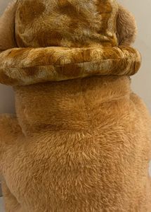 Life Size Teddy Bear