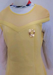 Elegant light Yellow  Gown