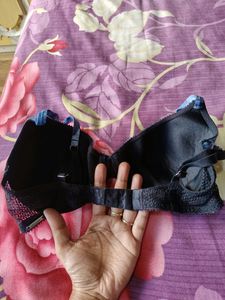 Amante Wired Padded Bra