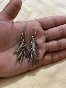 Earrings Women Pack Of -7