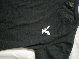 Grey T-shirt (female)