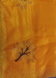 Elegant Orange Saree with Embellishments