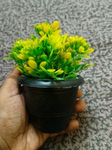 Cute Flower Pot