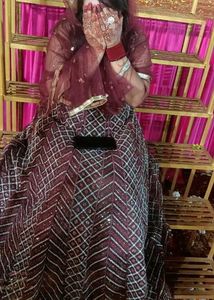 Gown With Dupatta Of Net New Only Wore Once