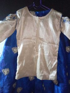 Exquisite Blue &amp; Gold Embroidered Lehenga Choli Se
