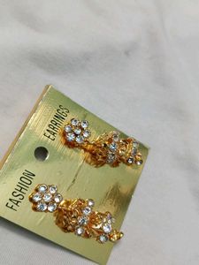 Elegant covering Earrings