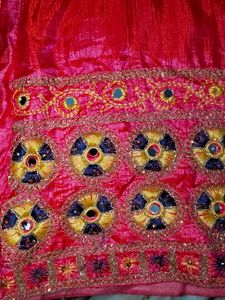 Pink Embellished Lehenga Skirt ✨