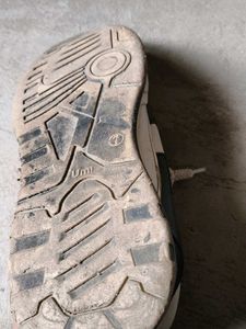 Stylish Tigonis Sneakers