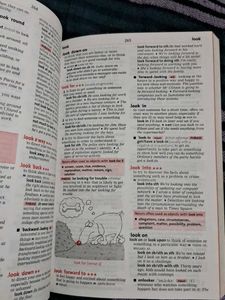 Macmillan Phrasal Verbs Plus