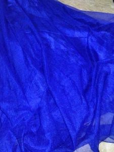 Blue Lace Lehenga Choli