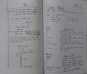 Class 6th Study Material for Sainik School &amp; RMS