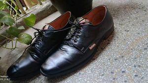 Lee Cooper Orignal Leather Men's Shoes