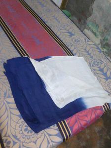 Blue and White Ombre Dupatta