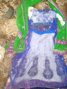 Embellished Lehenga Choli Set