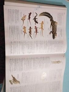 Illustrated Oxford Dictionary