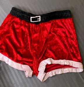 Festive Santa Cosplay Outfit