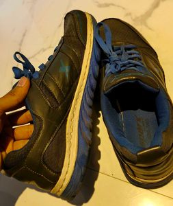 Sparkx Unisex Sports Shoes