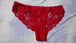 Red Lace Briefs