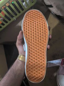 Roadster Pink Canvas Sneakers