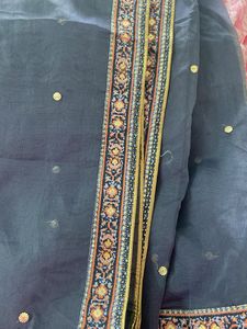organza dupatta with sequence work four side print