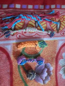 Dog Toys