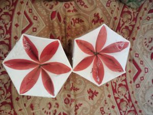 pack of 2