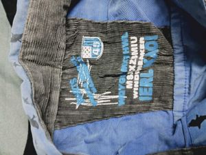Blue Bird Print Casual Shirt