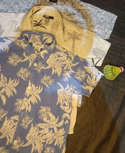 Pack of 3 shirt