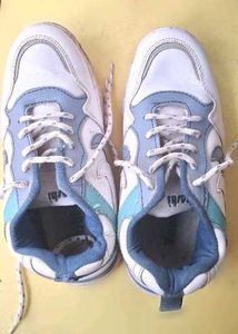 Casual White & Blue Sneakers