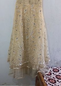 Elegant Embroidered Overlay Dress