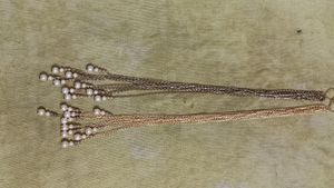Fancy chain with Earring