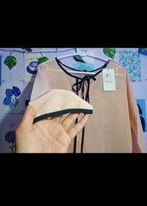 Elegant Bow Tie Blouse