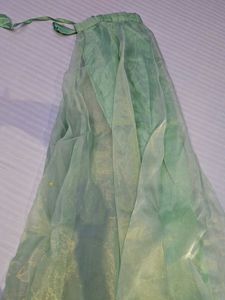 Sheer Emerald Green Dupatta