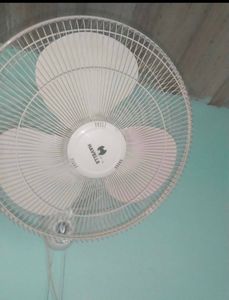 6 wall fan i have.u can select one