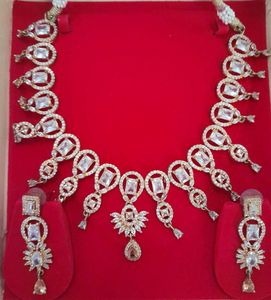 Stunning Necklace and Earring Set