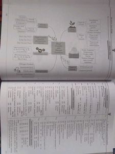 Focus Biology Std. XII Science Textbook