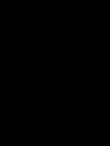 A|X Armani Exchange Black T-Shirt