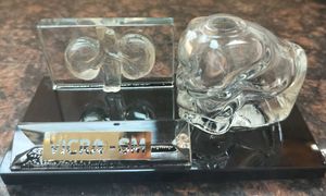 Unique Skull Pen Holder &amp; Phone Stand