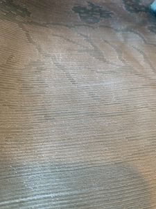 Shaded Shimmering Georgette Saree In Self Print