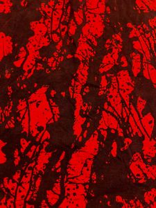 Vibrant Red &amp; Black Abstract Print Top