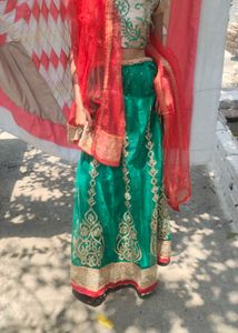 Green Lehenga Choli Set 🫶🏻🌷