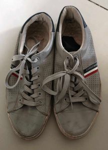 US Polo Assn. Grey Sneakers