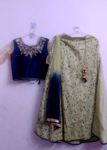 Elegant Lehenga Choli Set,new