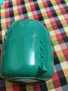 Green dinosaur 🦕 Storage Container