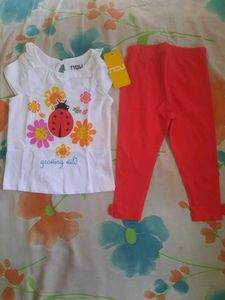 Cute Ladybug & Flowers Outfit Set