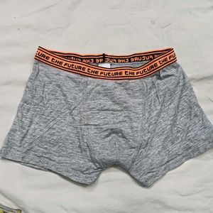 Grey Boxer ⭐Briefs with "The Future" Print