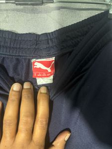 Puma lower gym  Pants - Navy Blue