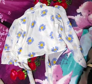 Chic Daisy Print Sheer Blouse